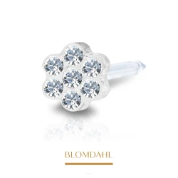 Kolczyk Daisy Crystal 5 mm BLOMDAHL