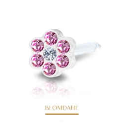 Kolczyk Daisy Rose Crystal 5 mm BLOMDAHL