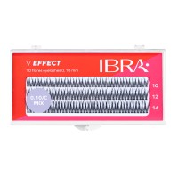 Kępki rzęs V effect C MIX IBRA Makeup